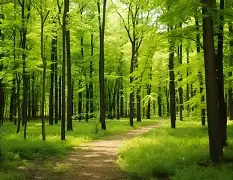 峰度控股骆国峰 峰度控股骆国峰