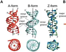峰度控股骆国峰 峰度控股骆国峰